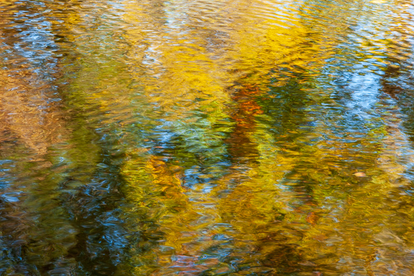 Abstract;Abstraction;Blue;Calm;Couchville Cedar Glade State Natural Area;Great Smoky Mountains National Park;Healing;Line;Minimalism;Mirror;Modern;Nature;Pastoral;Ripple;Shape;Sunlight;Sunshine;Tennessee;Water;Waterscape;Yellow;contemporary art;landscape;modern art;oneness;orange;pattern;peaceful;red;reflection;reflections;restful;serene;soothing;sunlit;texture;tranquil;zen